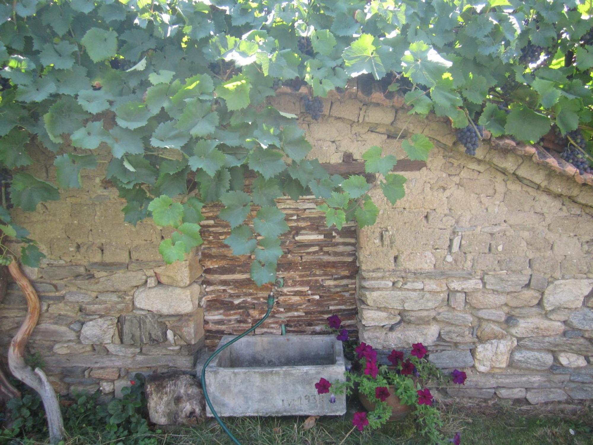 Guest House Popov Marchevo Buitenkant foto